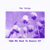 Take Me Back To Heaven by Fat Tulips