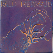 let us be your snails