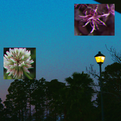 At least you can dance!!