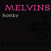 Lovely Butterfly by Melvins