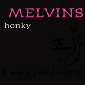 Pitfalls In Serving Warrants by Melvins