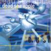 Ride Of A New Generation by Dead Sea Apple