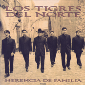 El Triunfo by Los Tigres Del Norte