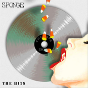 Sponge: The Hits