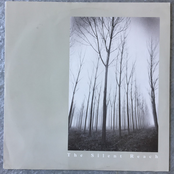 Melancholy Love Song