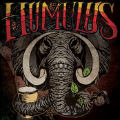Gums by Humulus