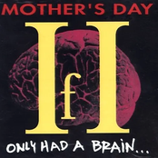 If I Only Had A Brain...