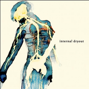 supermodel: Internal Dryout