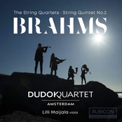 Brahms: The String Quartets & String Quintet No. 2