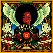 Paris DJs Soundsystem - Dis Is Good For You - Tropical Grooves and Afrofunk International
