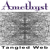 Tangled Web