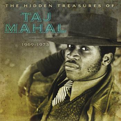 I Pity The Poor Immigrant by Taj Mahal