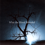 What The Blood Revealed [EP2]