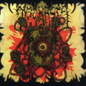 Septical Stomach-Pumped Remnan