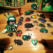 Wriggle Nightbug's Beetle Collection
