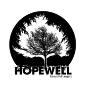 Are You Anywhere? by Hopewell