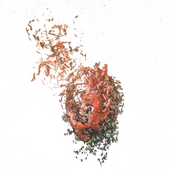 Life Won't Wait - Single