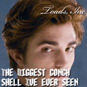 The Biggest Conch Shell I've Ever Seen