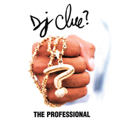 DJ Clue: The Professional