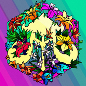 Future Cougar - Single