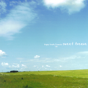 sweet Avenue