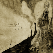 A Hunger Rarely Sated(EP)