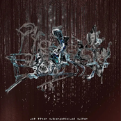 At The Skeptical Site