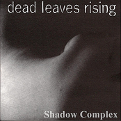 Without Regret by Dead Leaves Rising