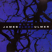 O Gentle One by James Blood Ulmer