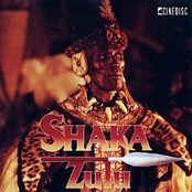 shaka zulu