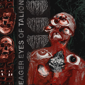 Eager Eyes of Talion