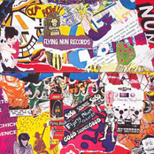 Flying Nun 25th Anniversary Box Set