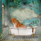 Sr. Tigre (French Braids Rework)