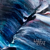 Last Forest Rain