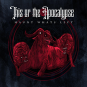 Lamnidae by This Or The Apocalypse