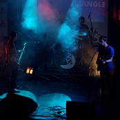 Live Lizard King Cracow 14 VI 2012