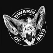 Swarm Of Bats