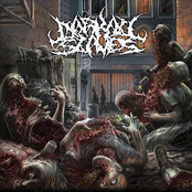 Darkall Slaves: Mephitic Redolence of the Decomposed