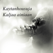 kaljaa ainiaan