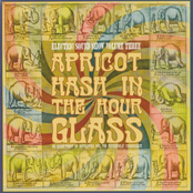 Apricot Hash In The Hour Glass - Electric Sound Show, Vol. 3