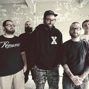 the acacia strain