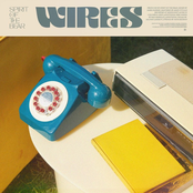 Spirit Of The Bear: Wires
