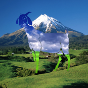 Mountain Songs