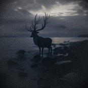 Black Sands