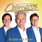 Du Bist Fantastisch by Calimeros