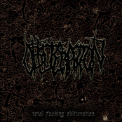 Total Fucking Obliteration