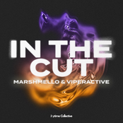 In The Cut - Single