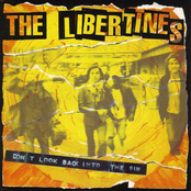 The Libertines: Don't Look Back Into the Sun