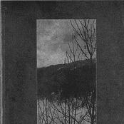 Visionaries of Valiant Vagaries