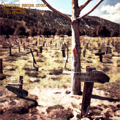 Voci nel deserto ~ II (La collezione)